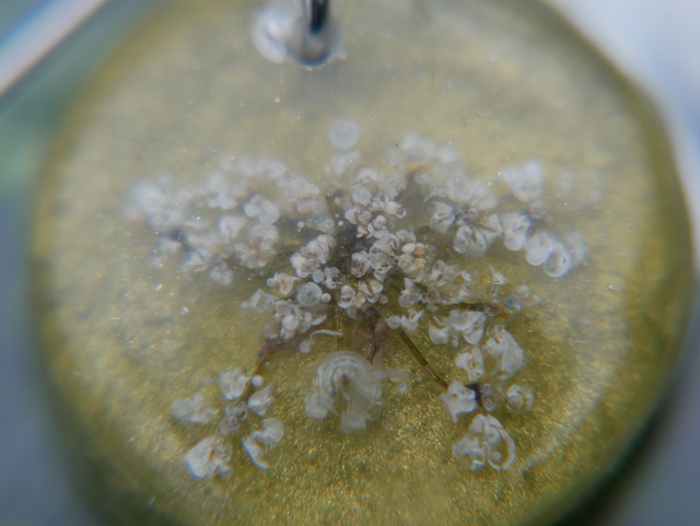 boucles d oreilles fleurs séchées