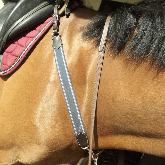 Collier de chasse avec martingale 