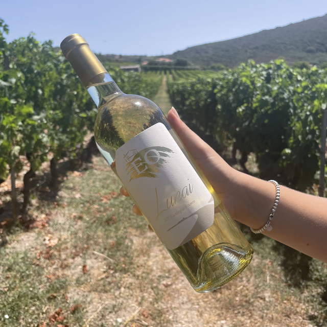 Lunai IGT Planargia bianco (750ml)