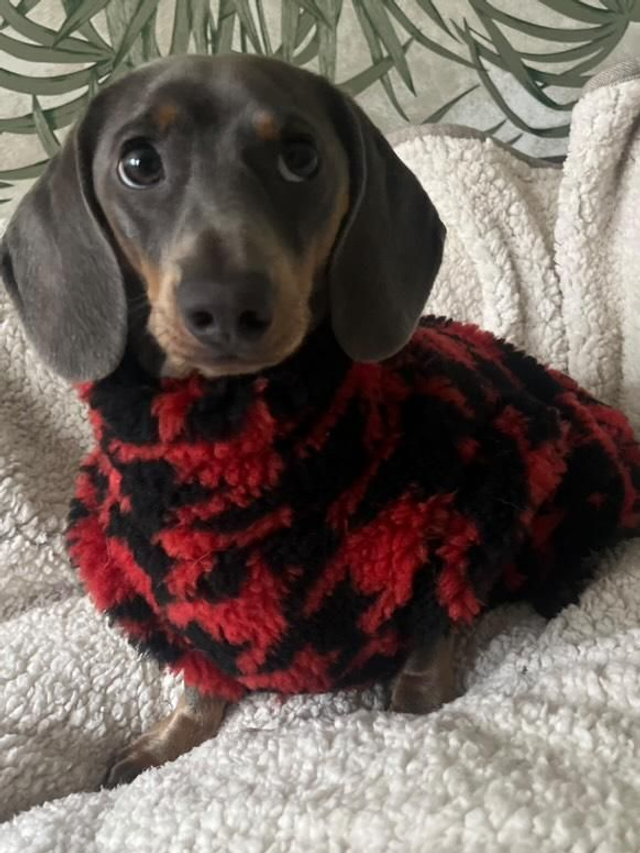 Houndstooth pattern sherpa fleece jumper