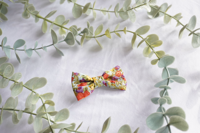 Summer Mini Bow