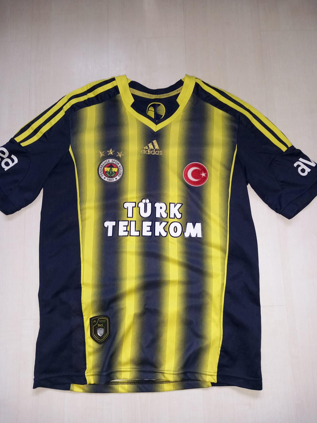 Fenerbahçe 2013/2014