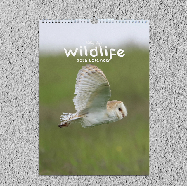 “Wildlife” 2026 Calendar 