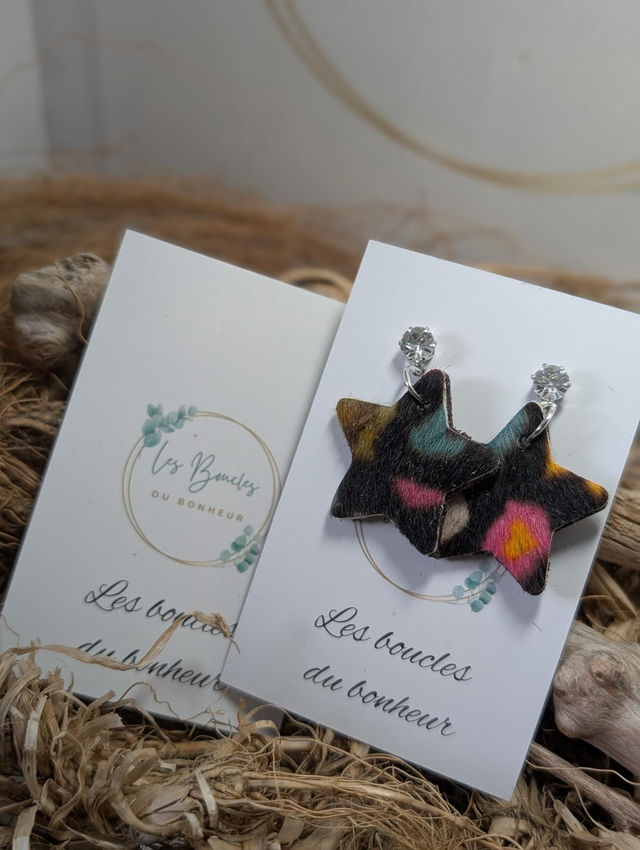 Boucles d&#039;oreilles Petite étoile Graou multicolore st051