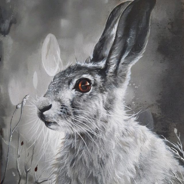Misty the Hare prints