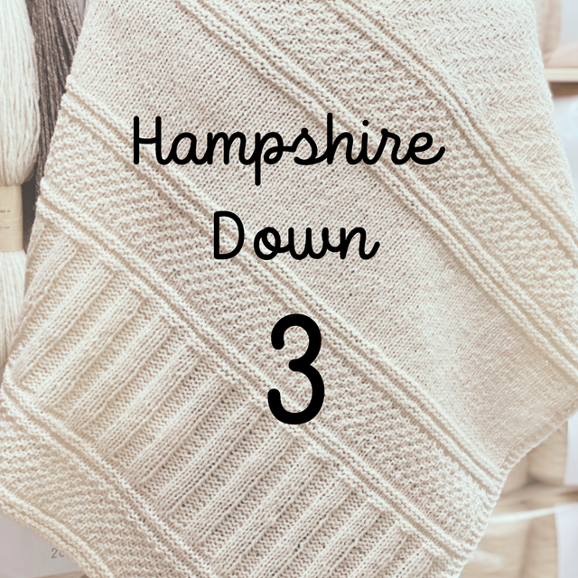 Hampshire 3 Fils 2023 (Derniers exemplaires avant chgt de millésime)