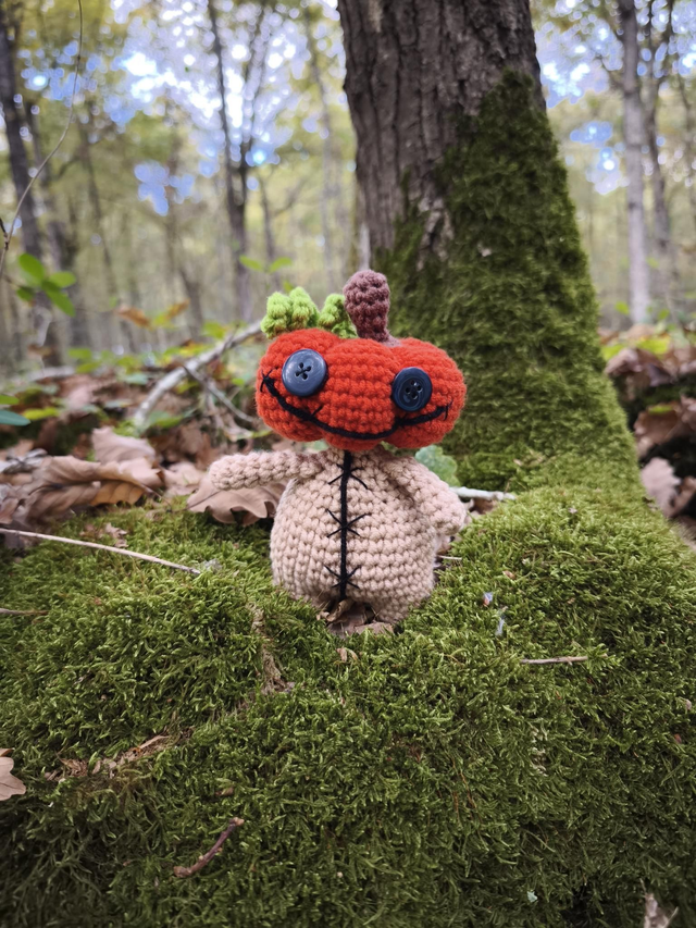 Trouille le bonhomme citrouille 