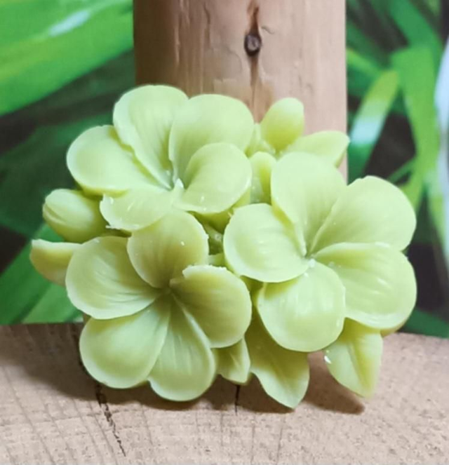 Fondant parfumé "fleurs" monoï