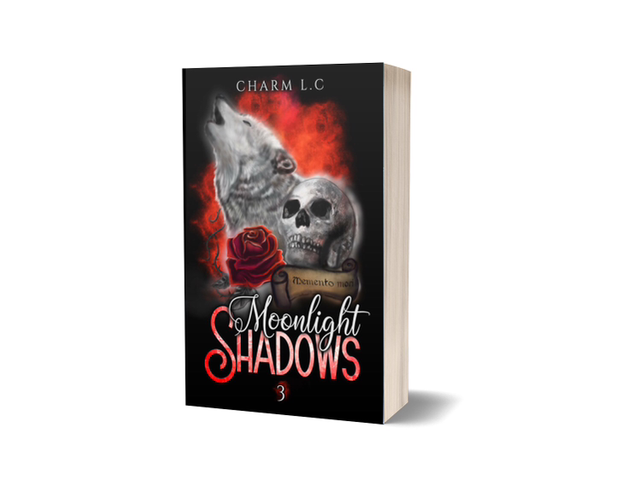 BROCHÉ MOONLIGHT SHADOWS T3