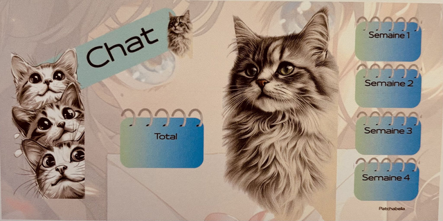Chat