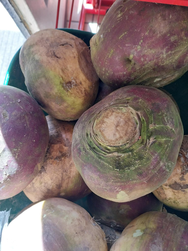 Turnip (avrg 500g)
