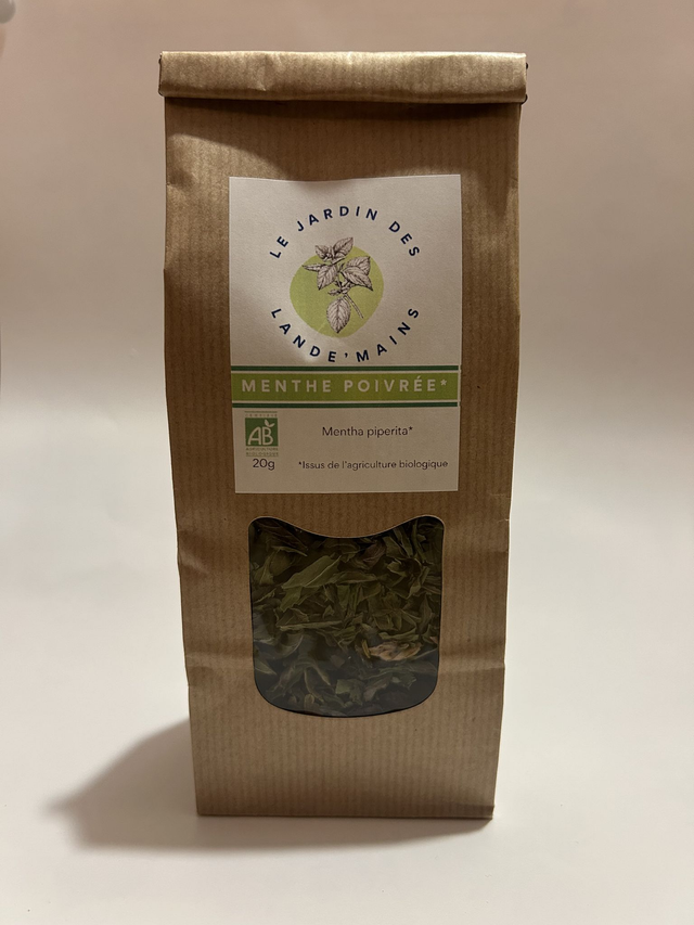 Menthe poivrée