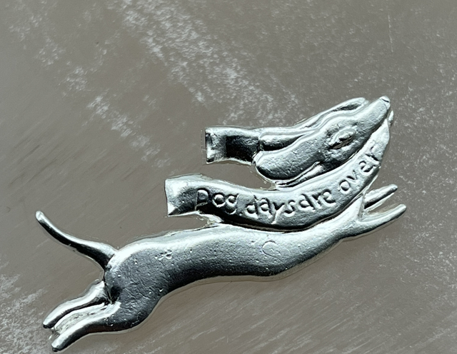 Dog days are over brooch