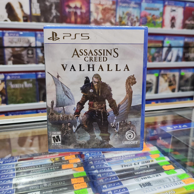 Assassins Creed Valhalla 