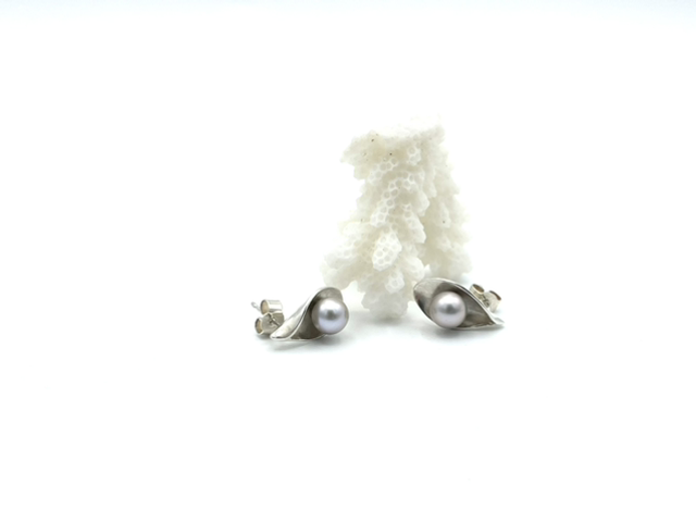 Puces d’oreilles Arum