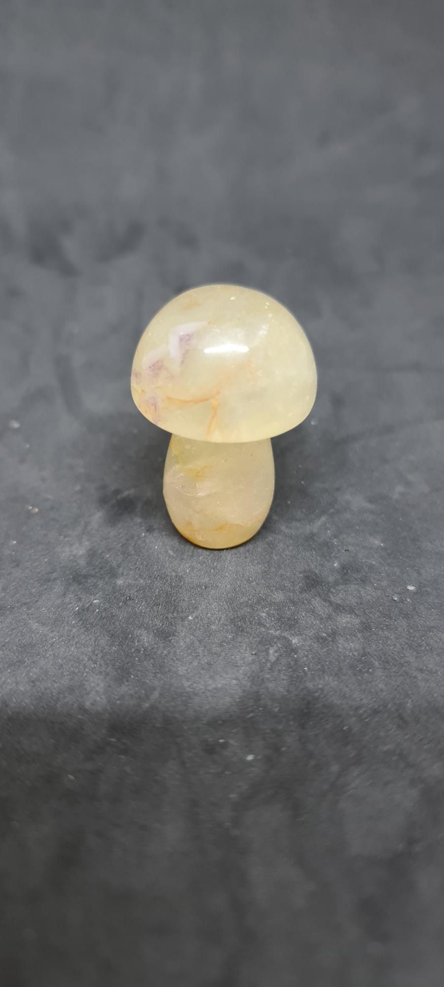 Champignon pierre citrine 