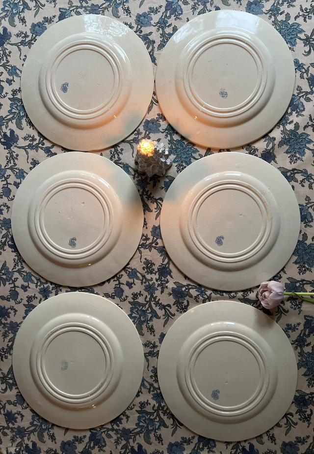 OISEAUX - Suite de 6 assiettes plates aux Oiseaux par la manufacture française de Gien - Terre de Fer