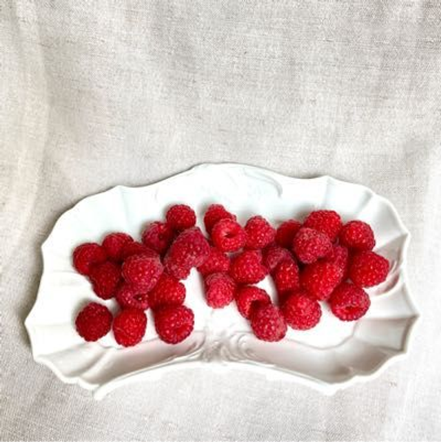 Schale Teller Fürstenberg Porzellan weiß