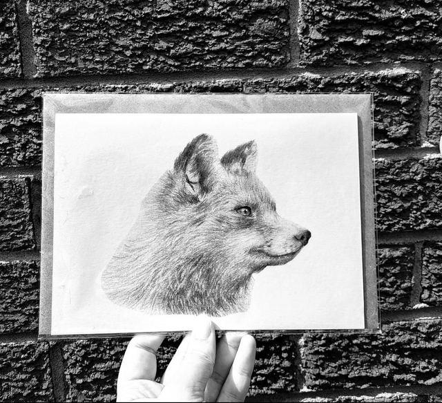 Fox Greetings Card