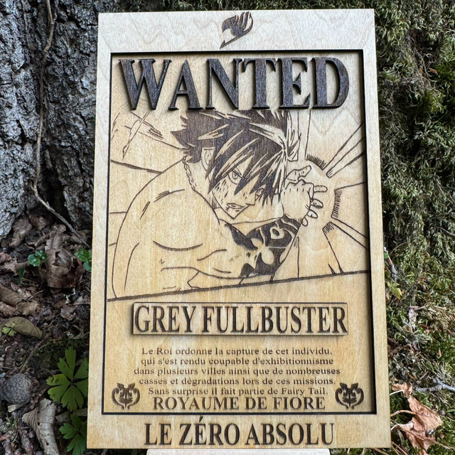 Fairy tail - Pack Rivaux