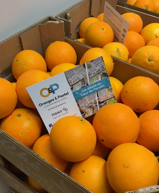 Oranges Bio Nave Late 10/20kg