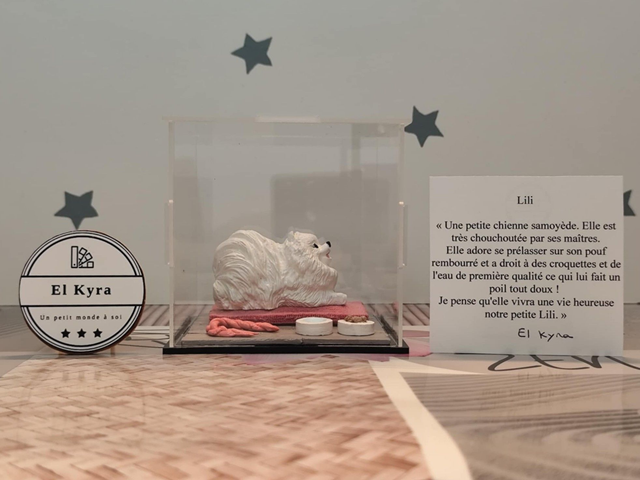 Lili (Œuvre unique)