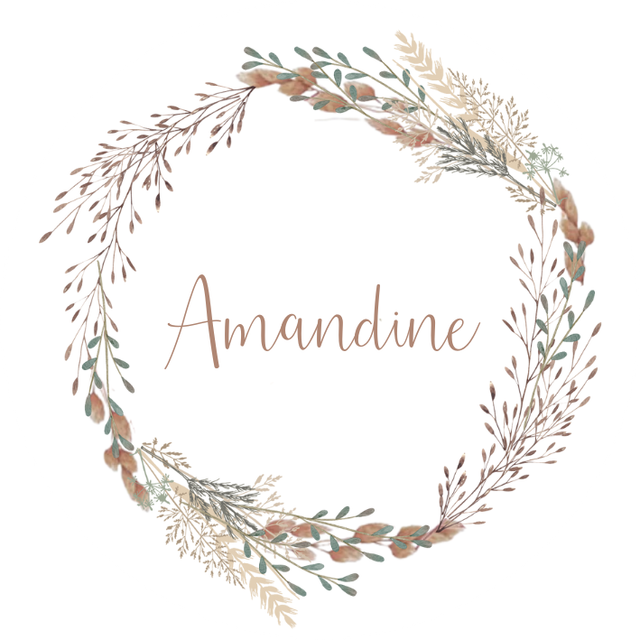 Lot de stickers papier &quot;Amandine&quot; - Personnalisable
