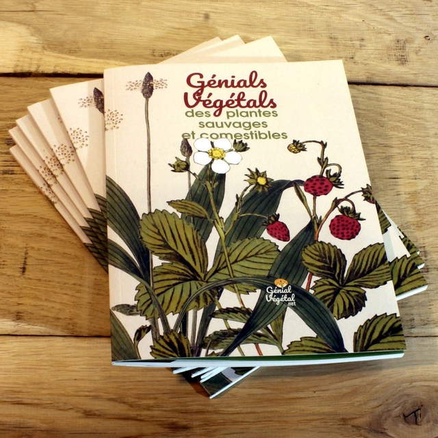 Génials Végétals, plantes sauvages et comestibles