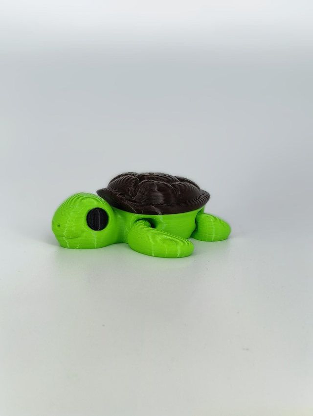 Flexi Turtle