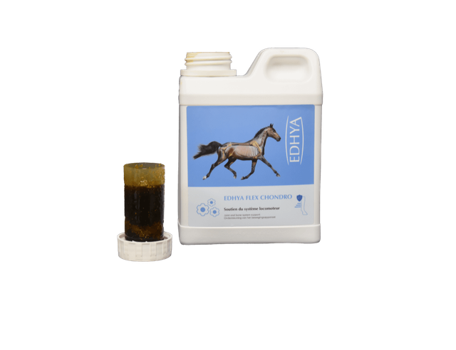 Edhya FLEX CONDRO 1 L