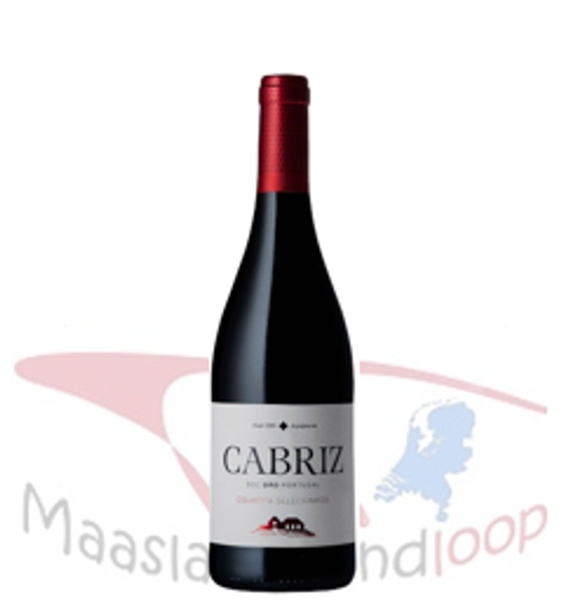 28 | Cabriz Colheita | Touriga - Alfrocheiro - Tinta Roriz | Portugal | Dao | **** | Nieuw!