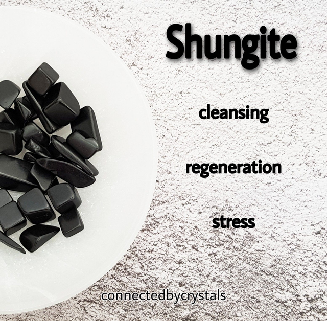 Shungite Tumblestone 