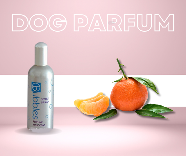 Bubbles® Hundeparfüm "Secret Splash"