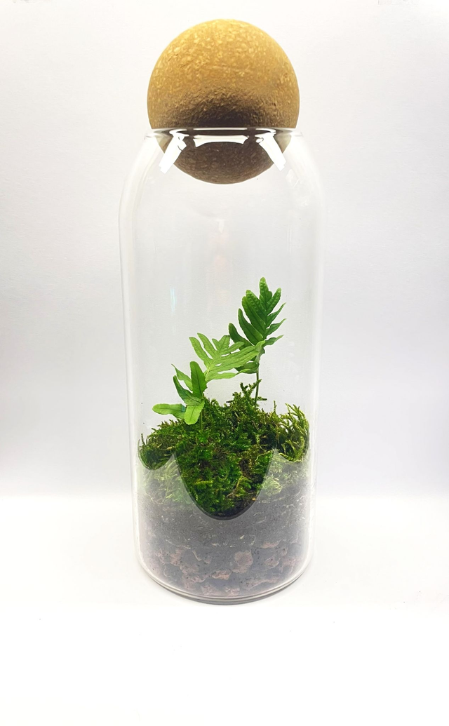 Biosphère bioactive "earth" grande