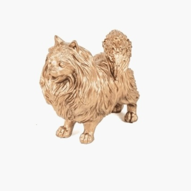 Beeldje hond Pomeriaan goud