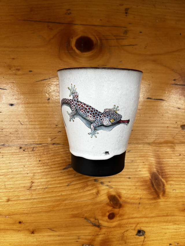 Teebecher Gecko (MSM)