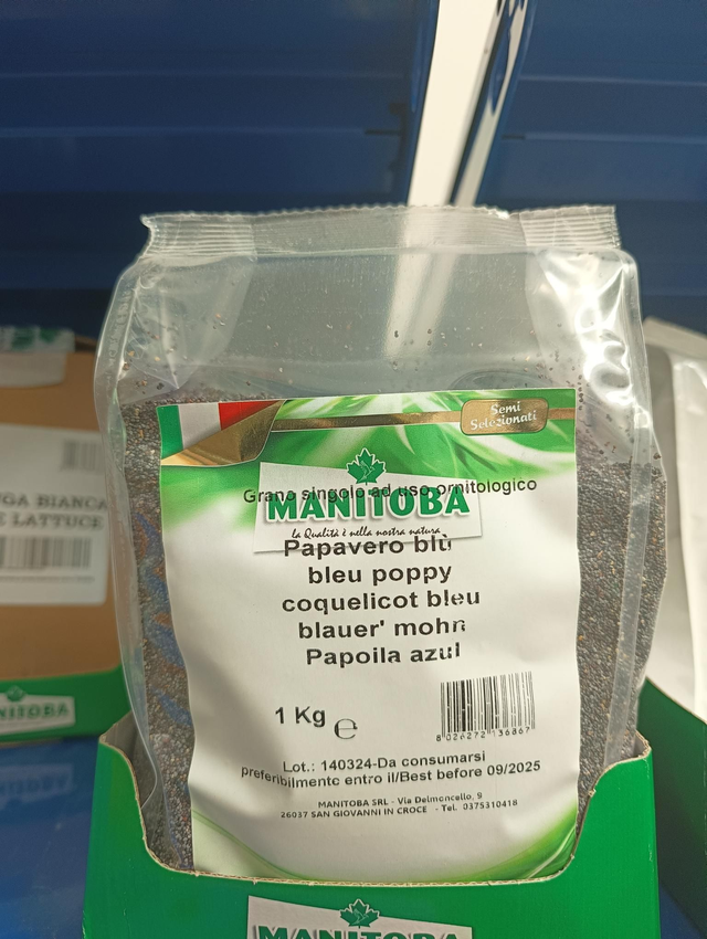 Papavero blu 1 kg Manitoba 