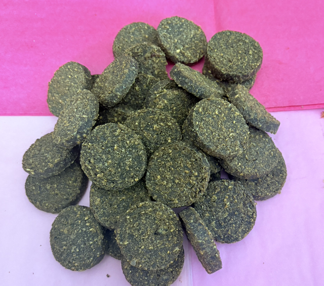 Gourmet Salmon Cookies 