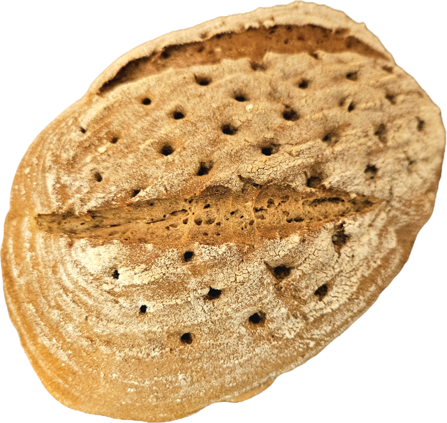 Mischbrot 500g 