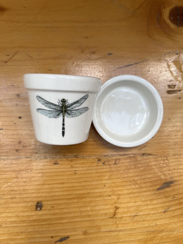 Espresso Tasse / Blumentopf - Libelle oben