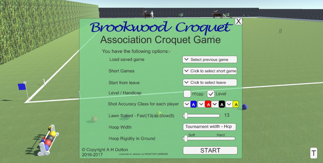 Virtual Association Croquet Computer Game