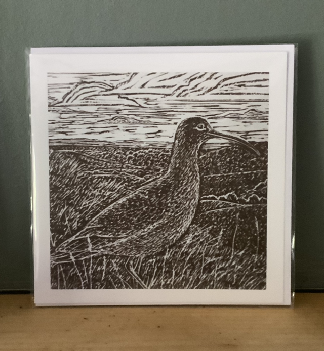 Curlew greeting card