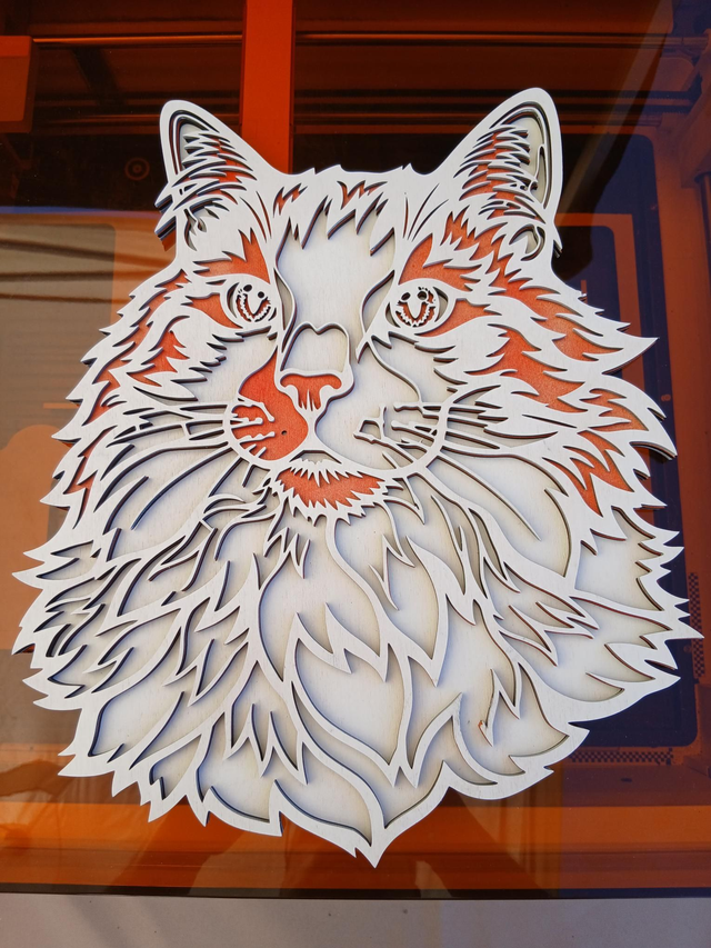 Chat multicouches
