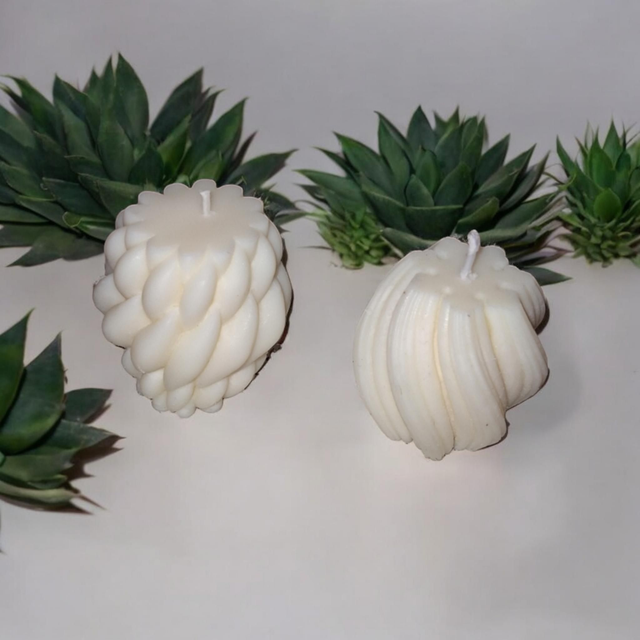 Bougies cire de soja 