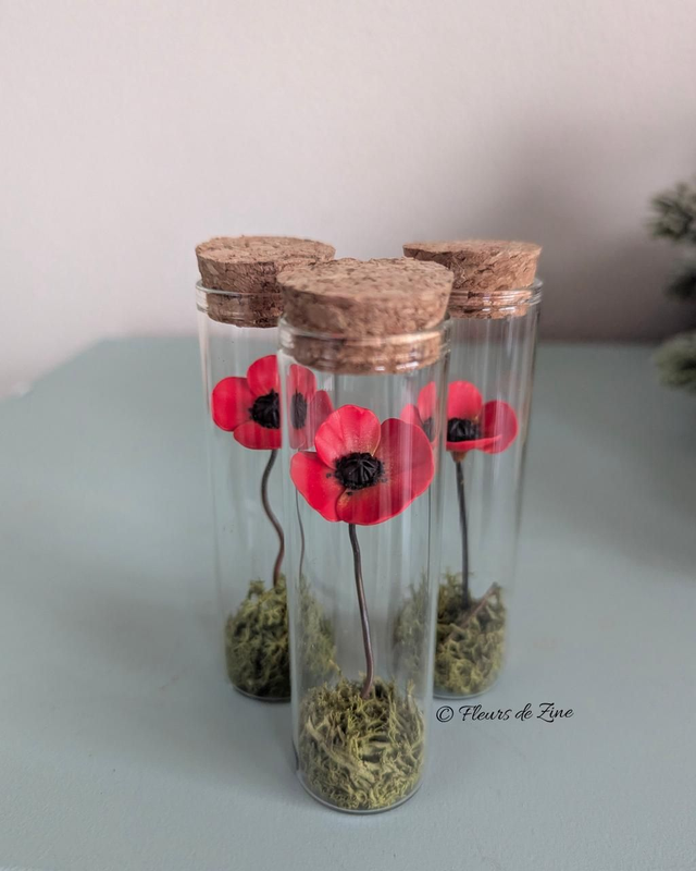 Coquelicot dans son écrin de verre