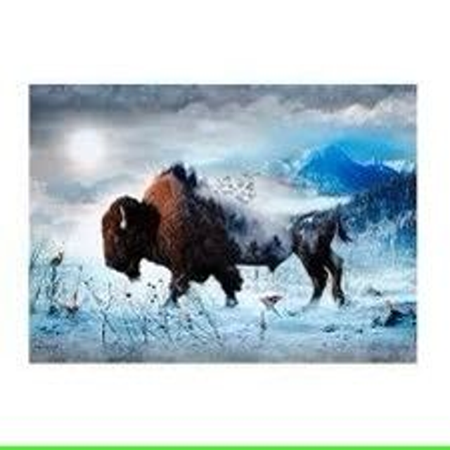 PANNEAU BISON