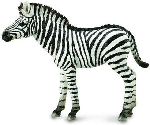 Collecta Zebra Foal 88850