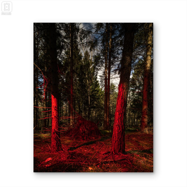 'Signal 01' Fineart print on dibond 