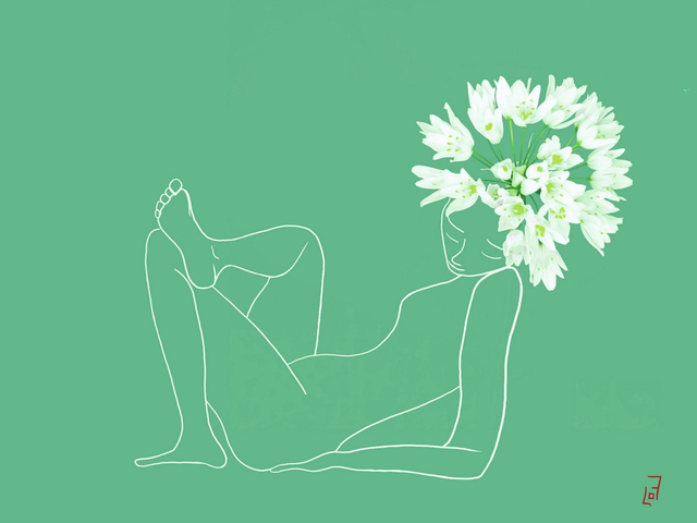 Tête d'ail - fond vert