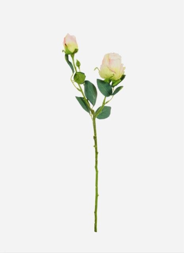 Dried Touch Gemini Rose Bud Spray